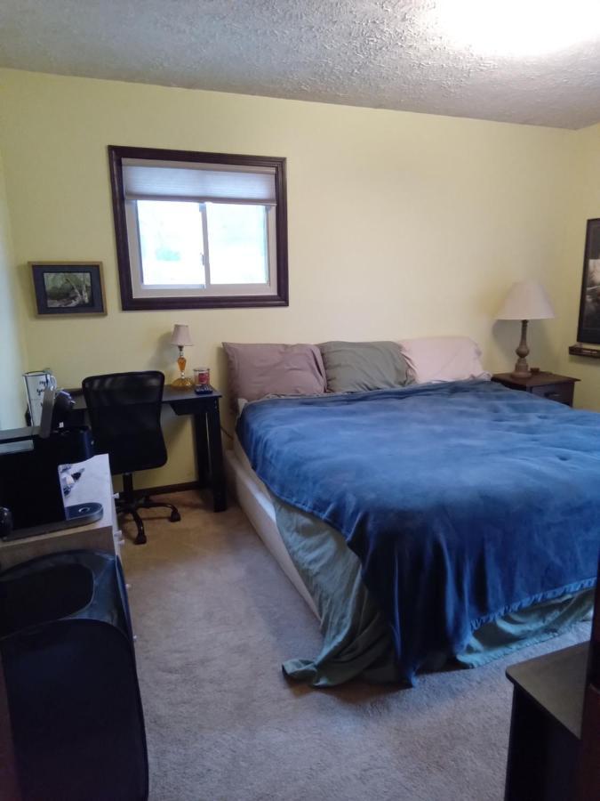 Outdoor Hot Tub And Cozy King Bed Apartment Lansing Luaran gambar